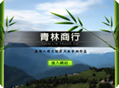 網頁設計