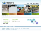 網頁設計